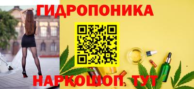 МДПВ Пушкино