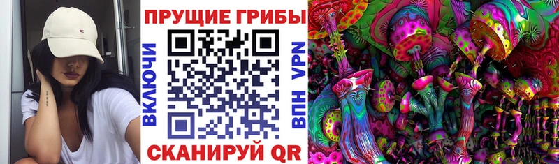Галлюциногенные грибы Cubensis  Сургут 