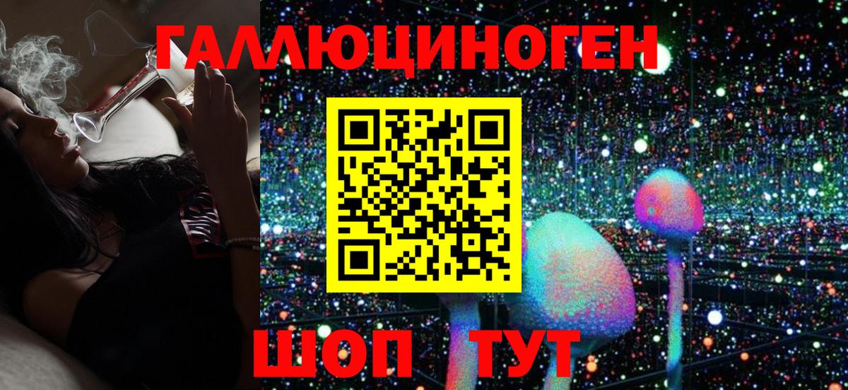 Галлюциногенные грибы GOLDEN TEACHER  Псилоцибиновые грибы Magic Shrooms  дарнет шоп  Вход с VPN  Сургут 